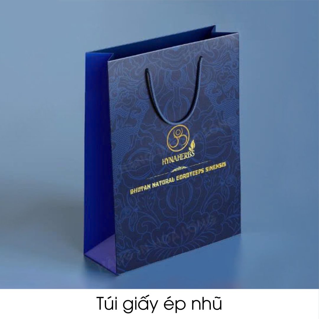 In túi gi¥y