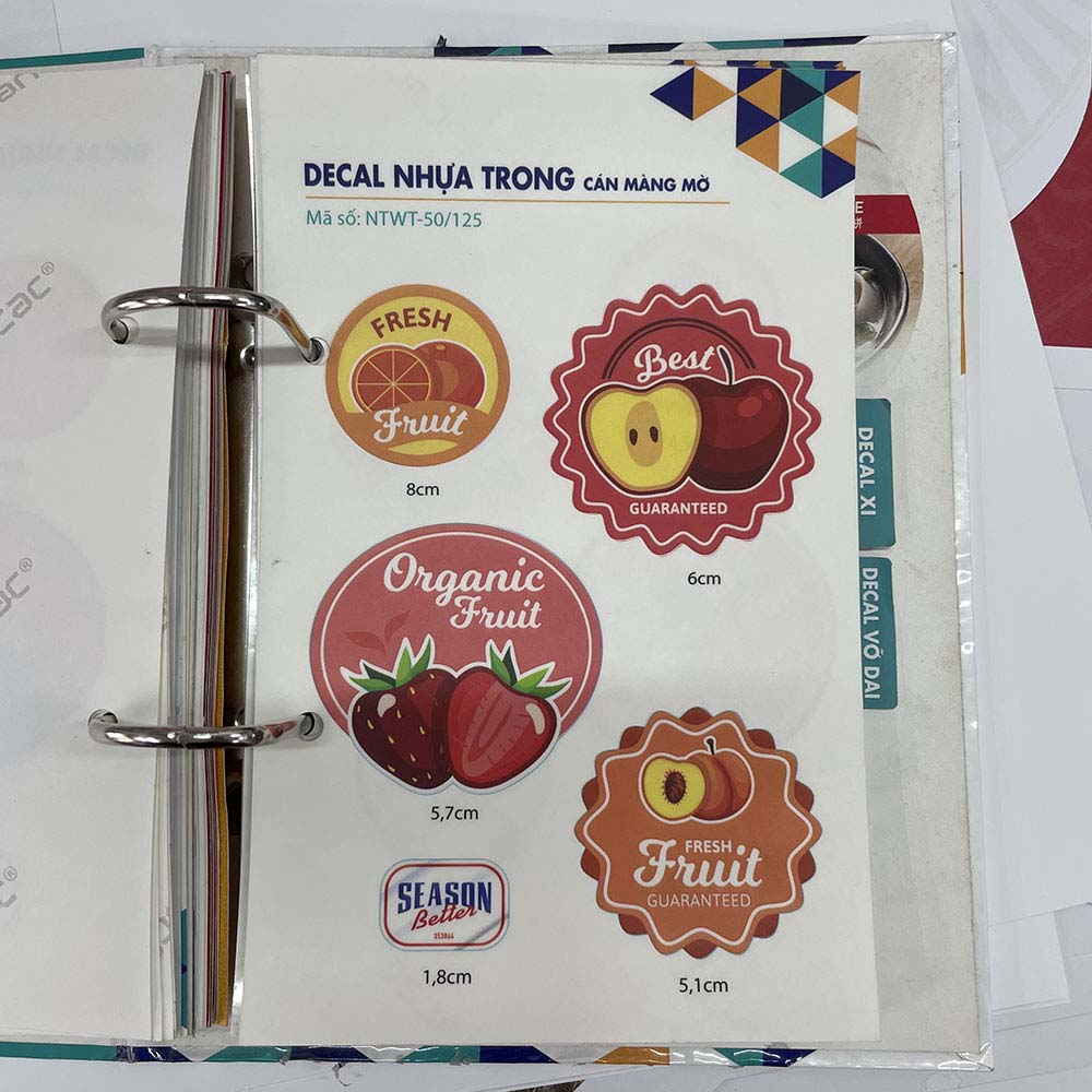 in decal trong / decal sữa / xi bạc