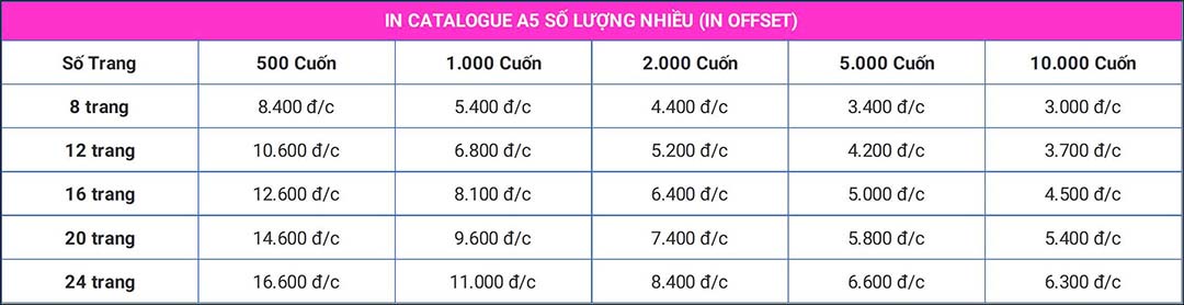 In catalogue giá rẻ TPHCM – Gò Vấp | In nhanh Ngọc Min In catalogue giá rẻ TPHCM – Gò Vấp | In nhanh Ngọc Min