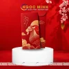 In bao lixi tet 2027 6